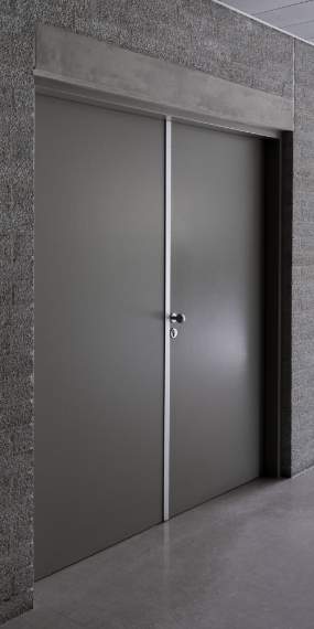 Double Metal Door